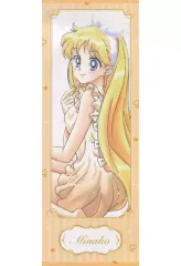 2025年最新】愛野美奈子の人気アイテム - メルカリ