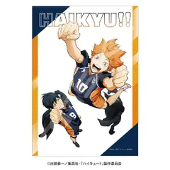 ハイキュー!!_56-L12 日向と影山