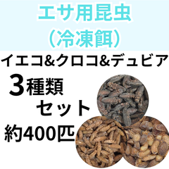 【冷凍餌】 3種セット！ 約400匹　冷凍イエコオロギ　冷凍クロコオロギ　冷凍デュビア　　爬虫類　両生類　エサ　餌　魚類　哺乳類　レオパードゲッコー　フトアゴヒゲトカゲ　カエル　蛙　トカゲ　ヤモリ　イモリ　お試し