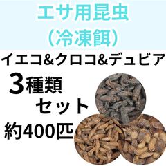 冷凍爬虫類・両生類の餌 まとめて chanet_211886