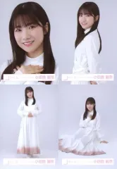 【中古】生写真(乃木坂46) ◇小田倉麗奈/櫻坂46ランダム生写真【「Nobody’s fault」MV衣装】 4種コンプリートセット