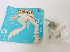 ネイチャーテクニカラー トノサマガエル ボールチェーン キーホルダー
