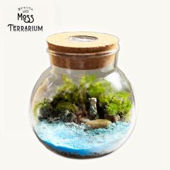 苔テラリウムキット LEDライト カワウソ フィギュア付き 10cm テラリウム コケリウム ボトルテラリウム