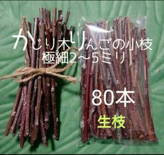 Item thumbnail for item 66cd1c6a-4721-4ef1-ac94-c1880dbe3c3f