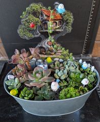 112205多肉植物の寄せ植え☆多肉植物のリース☆特大・35