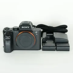 2025年最新】sony α7 ii ILCE-7M2の人気アイテム - メルカリ