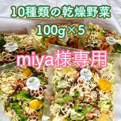 【miya様専用】10種類の乾燥野菜100g×5袋