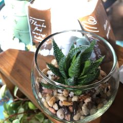 補修あり】 R型シェルフ（角がない 合板 曲線 カーブ 大き目 木製品