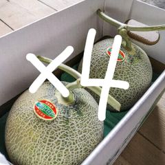 北海道 富良野メロン 高級 赤肉 2玉×4箱 有機肥料 超減農薬 訳あり