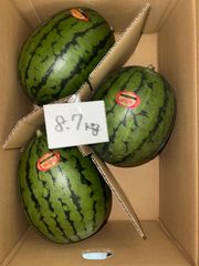 北海道沖縄離島追加送料無し　熊本県産赤肉小玉すいか《姫山笠》箱込み約8.7kg現品販売