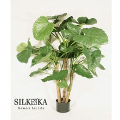 【※滋賀県倉庫引き取り限定価格】【人工植物】Silk-ka「アロカシア」150cm