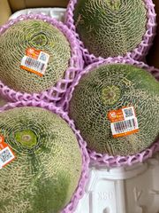 クインシーメロン 3Lサイズ 箱込 4.8キロ程度 茨城県産