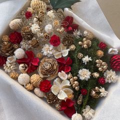 ボリューム満点！ドライフラワー ドライ ナッツ 木の実 花材 詰め合わせ アソートセット ハンドメイド素材ˎˊ˗ クリスマスBOX クリスマス　レッド ホワイト　ホワイトレッド　スギ　ヒノキ　No.B-11