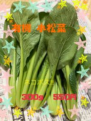 小松菜(有機栽培)
