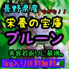 生プルーンコンパクト1kg😊長野県産栄養満点フルーツ😍クール便送料無料！