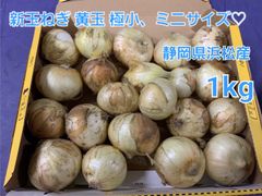 新玉ねぎ 極小サイズ ミニ 静岡県浜松産1kg