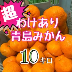 超訳あり！静岡県産『青島みかん』10キロ  サイズ混合