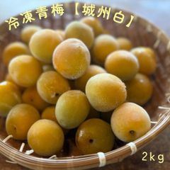 木成り完全完熟❗️山形県産『節田梅』M〜L訳あり2kg - メルカリ