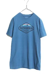 2024年最新】patagonia パタゴニア tシャツ fitz roy scope organic t－shirt blk  blackの人気アイテム - メルカリ