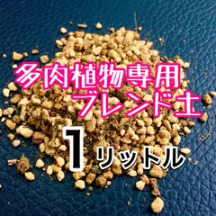 2026年最新】2B バイオプランツの人気アイテム - メルカリ