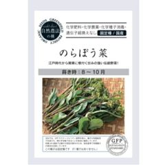【ポスト投函便】グリーンフィールドプロジェクト　のらぼう菜 ナバナ【自然栽培の種・固定種・国産】　葉菜　春秋