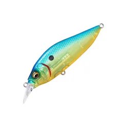 2025年最新】メガバス フラップスラップの人気アイテム - メルカリ