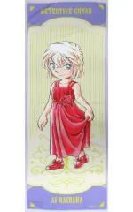 名探偵コナン展　連載30周年記念　会場限定手ぬぐい　6種セット 2025年最新】コナン展 手ぬぐいの人気アイテム - メルカリ