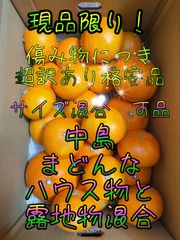 【早い者勝ち！】中島まどんな　超訳あり　可品