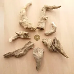 流木 約5.5cm～約12cm 210325のサムネイル
