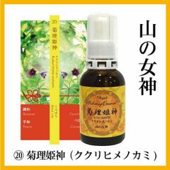 菊理姫神（ククリヒメノカミ）・・・山の女神