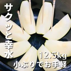 【サクッと大量】梨 幸水 小ぶり サイズ約7cm 合計約12.5kg ☆送料無料☆ なし