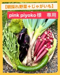 pink piyoko 様　専用ページ