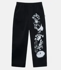 Stussy Airbrush Icon Beach Pantその他