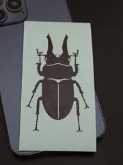 2025年最新】オウゴンオニクワガタ 標本の人気アイテム - メルカリ