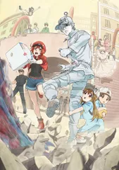 はたらく細胞　1期+2期+特別編　DVD 全12巻　レンタル落ち Amazon.co.jp: はたらく細胞 特別編(完全生産限定版) [DVD