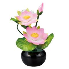 一点物】アボカド（種）アート「蓮の大輪」ハンドメイド立体彫刻 
