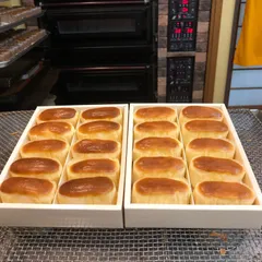 当店大人気「半熟チーズケーキ」10個入り✖️2箱のサムネイル