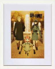 [중고] 원화 일러스트 보드 부속품 포함) 극장판 SPY × FAMILY CODE : White 호화판 Blu-ray & DVD Amazon 한정 특전 캐릭터 파인 그래프