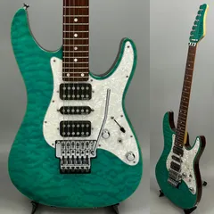 楽天市場】SCHECTER シェクター SD-2-24-BWの通販