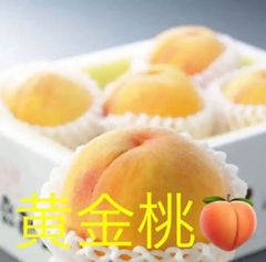 山形県産　福島県産　黄金桃　桃　もも　モモ　甲斐黄桃 もちづき　スウィート光黄