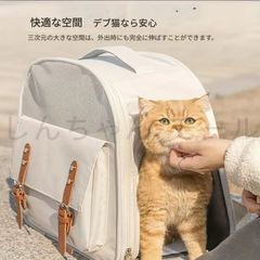 Item thumbnail for item efb8ac0c-e4c5-428b-922b-0412256e0253