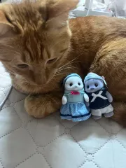 シルバニアファミリー 大人ヒョウ ぬいぐるみ (正規品 / かわいい注意)