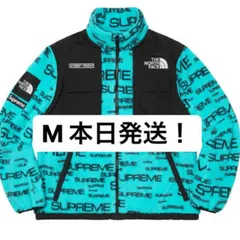 Supreme The North Face Steep Tech Fleece