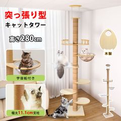 Item thumbnail for item 1bb0188e-415f-4c98-adb7-bfc5b3449fd0