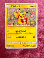 ピカチュウ ポケモンセンター20周年記念キャンペーン224/SM-P