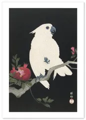 ポスター 小原古邨 『鸚鵡に柘榴(日本画)』 A3サイズ【日本製】 [インテリア 壁紙用] 絵画 アート 壁紙ポスター