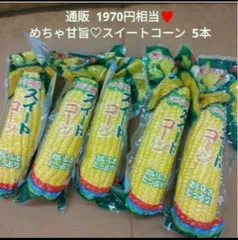 スイートコーン  5本  とうもろこし  おつまみ  おやつ  コーン