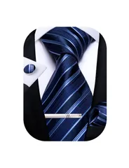 【在庫処分】ハンカチ カフスボタン ネクタイ タイピン セット ネクタイ 結婚式 ビジネス ストライプ 入学式 卒業式 [DiBanGu] 忘年会