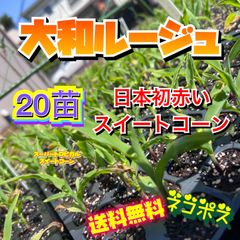 ご要望品