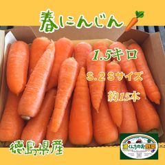 【濱くんちのお野菜】徳島県産春にんじん（Ｓ.２Ｓ）1.5キロ